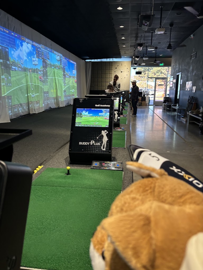 Academy & Golf - review