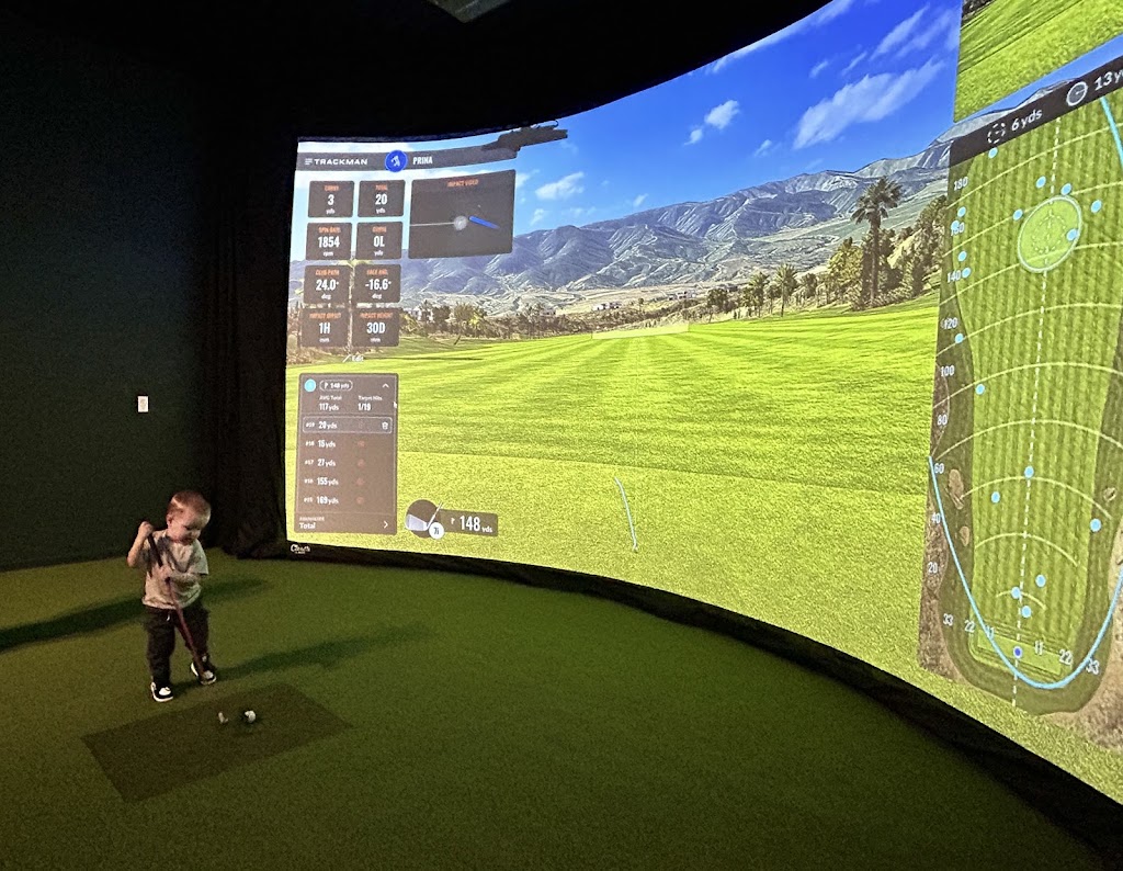 The Virtual Golf Club - review