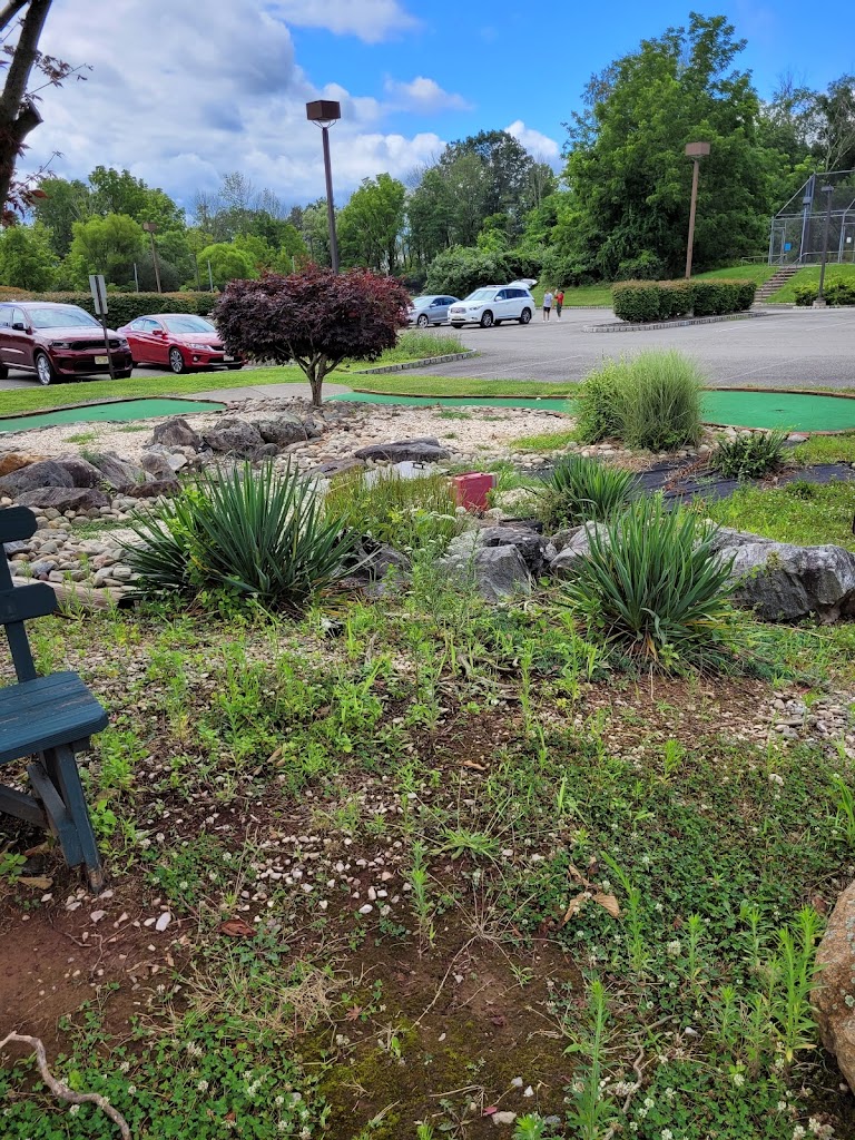 The Golf Zone Club Fitting - review