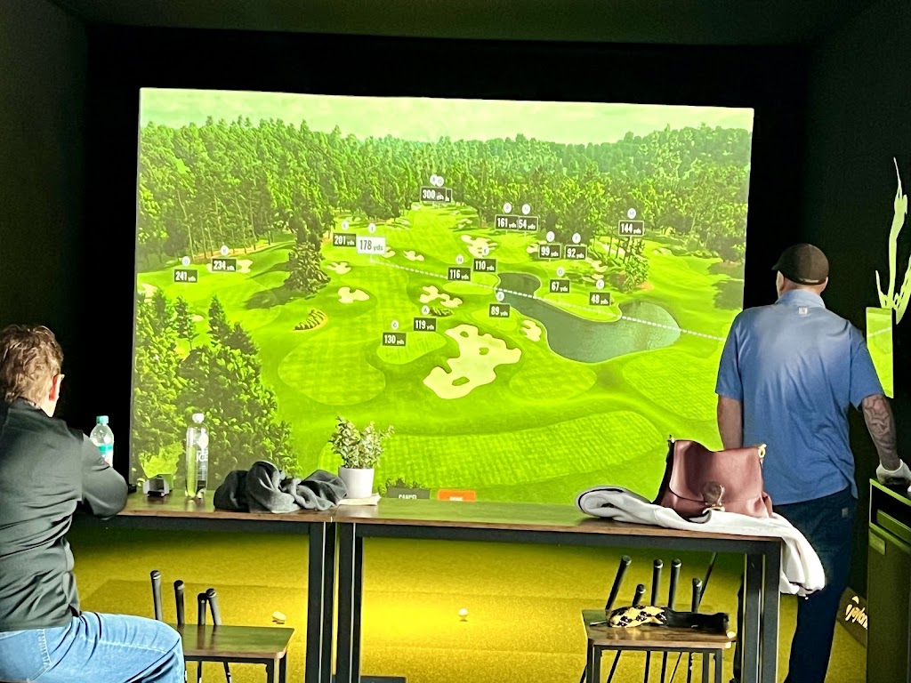 Swing 395, LLC - review