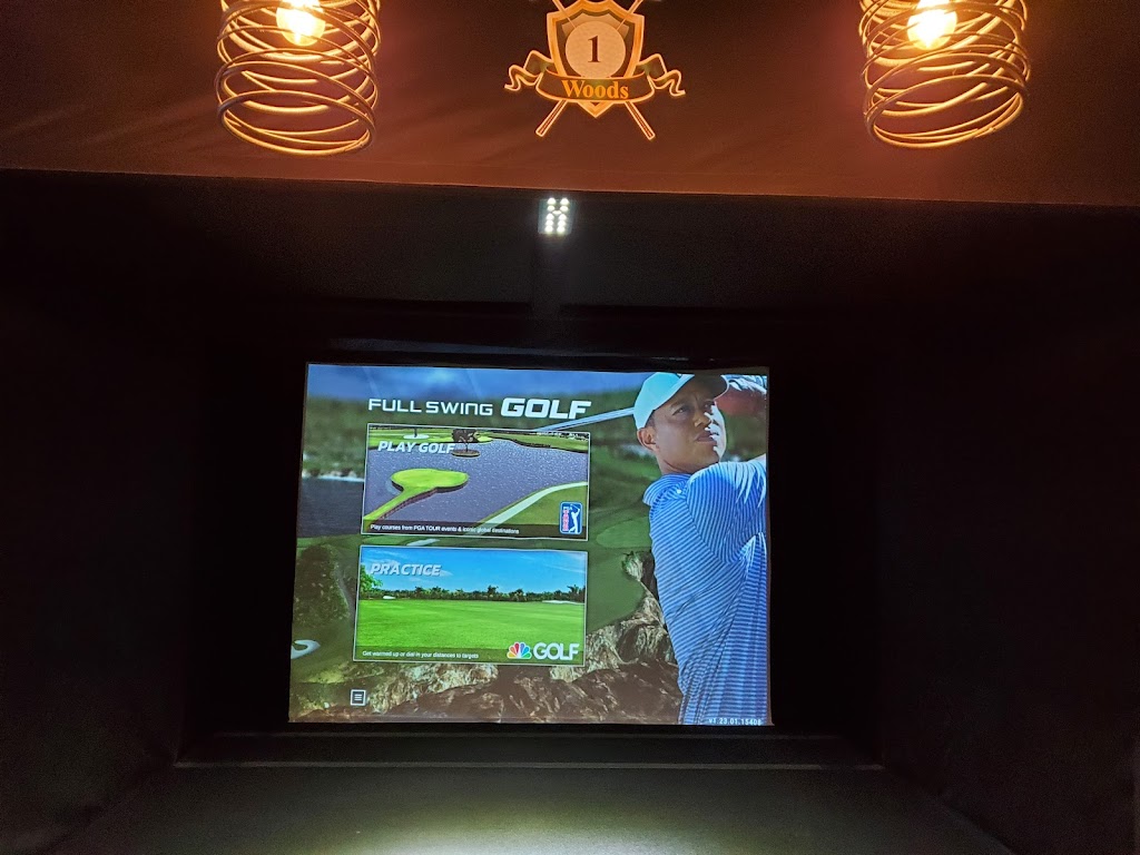 AVID Indoor Golf - review