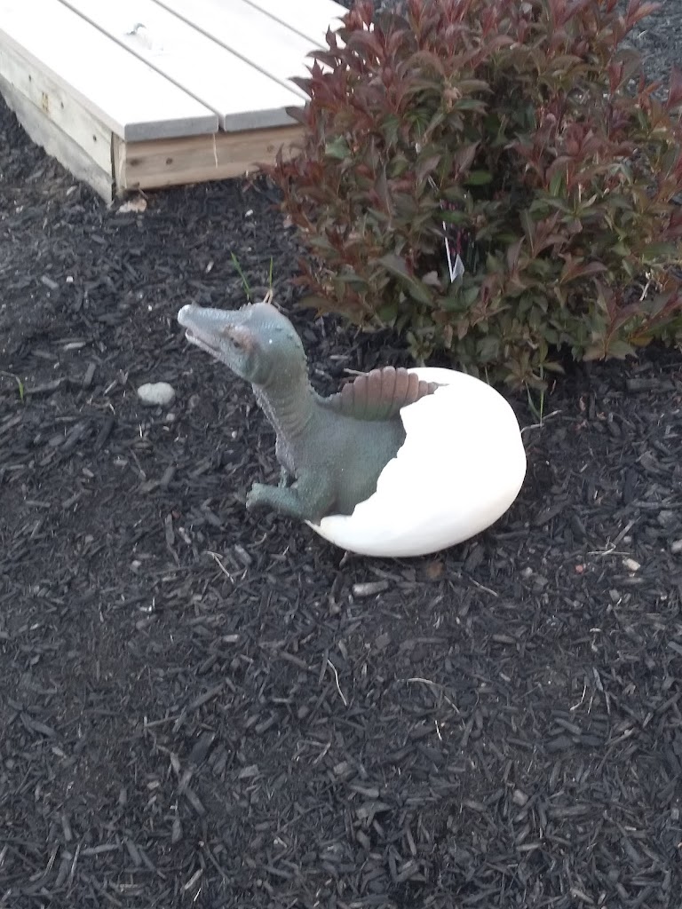 Apex Sports & Entertainment - review