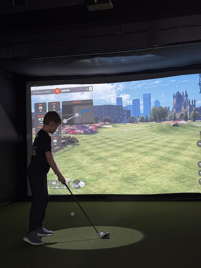 Sim Cup Golf - review