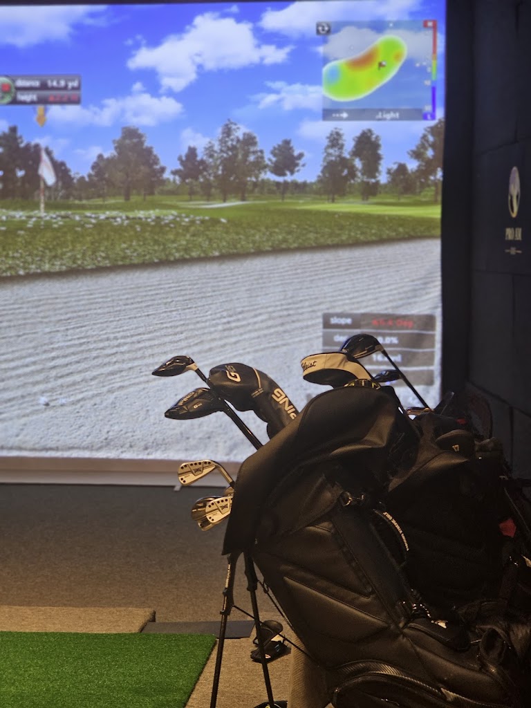 Pro-Am Golf Club - review