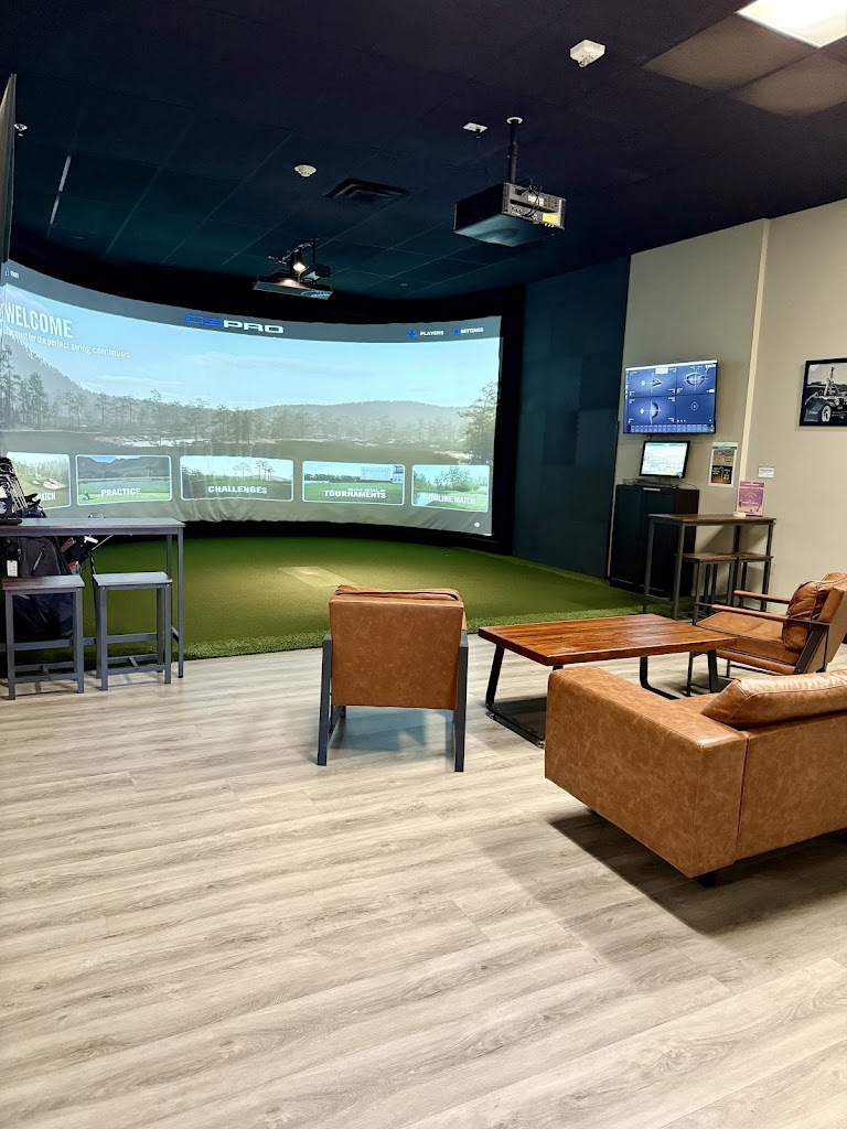 iSwing Indoor Golf - review