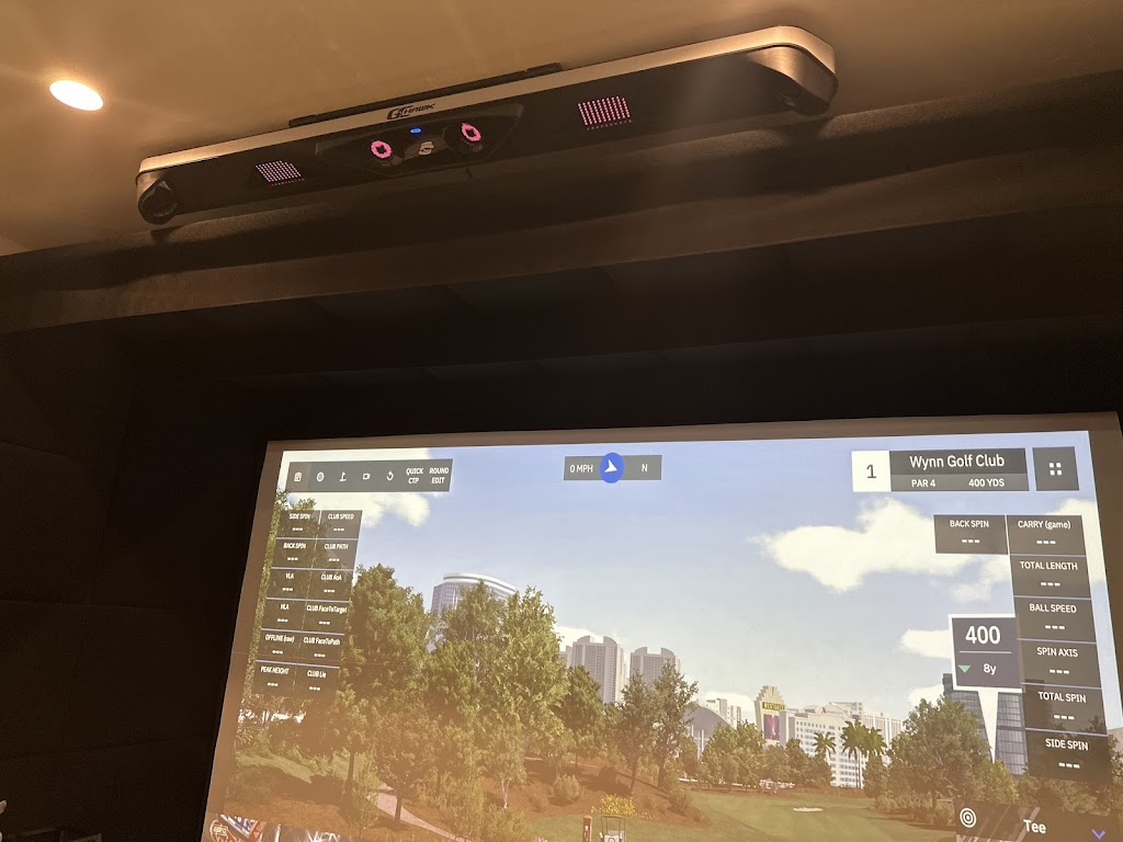 Next Level Sims - review