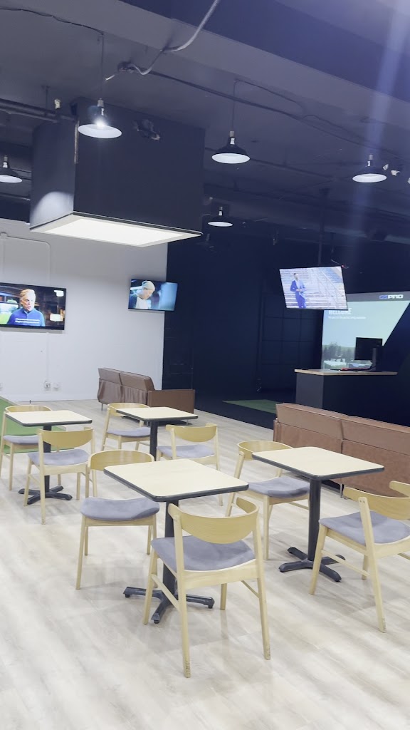 Swing Theory Indoor Golf - review