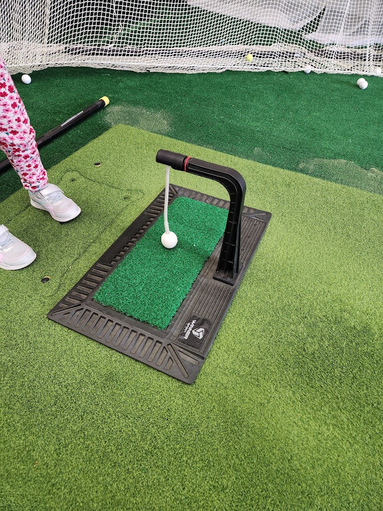 Z. Max Golf Studio - review
