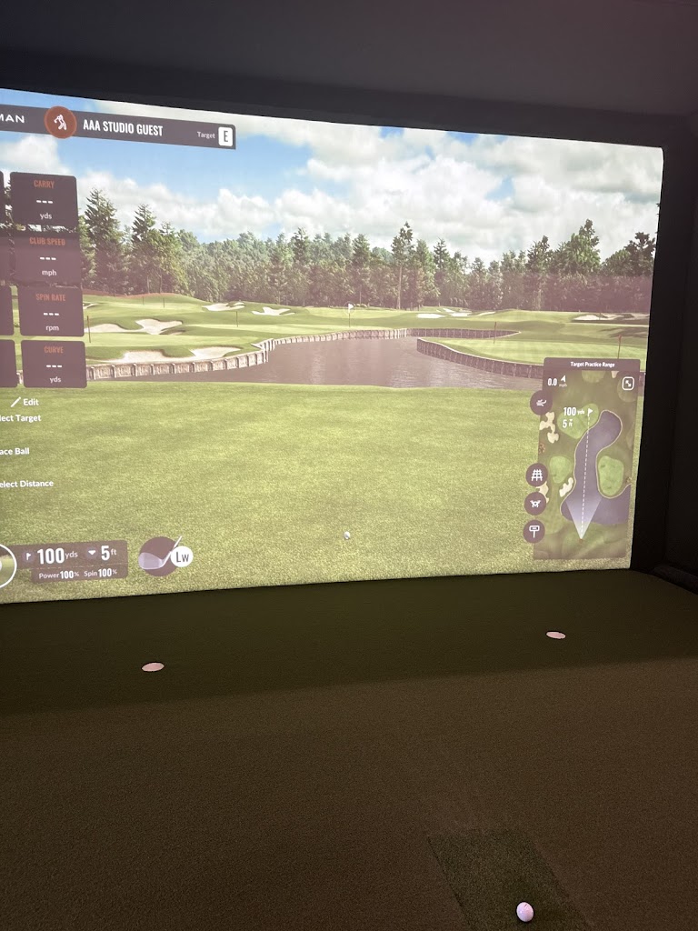 Golfstix Studio - review