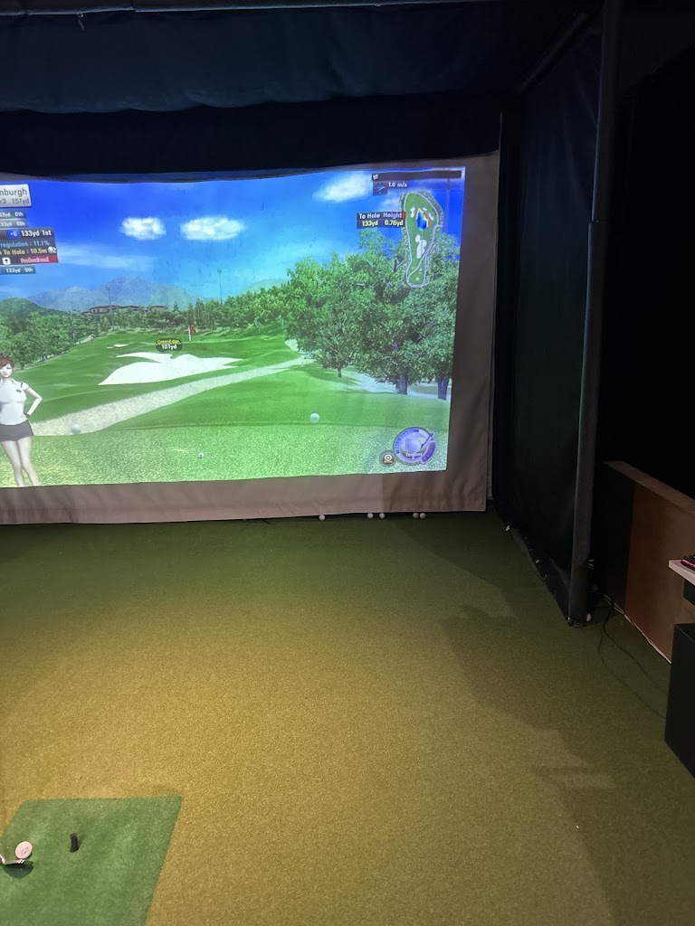 TARGET Indoor Golf - review