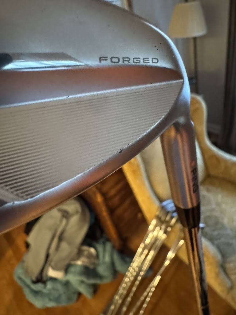 GOLFTEC Des Plaines - review