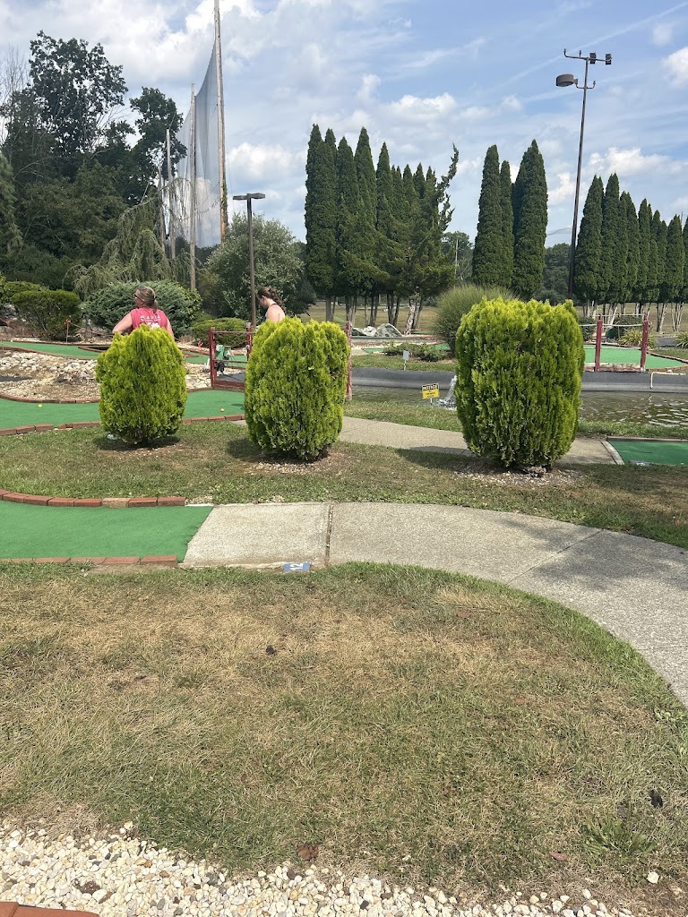 The Golf Zone Club Fitting - review