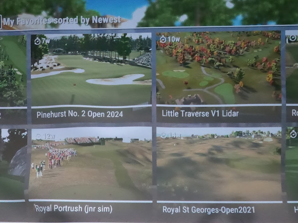 Ann Arbor Indoor Golf - review