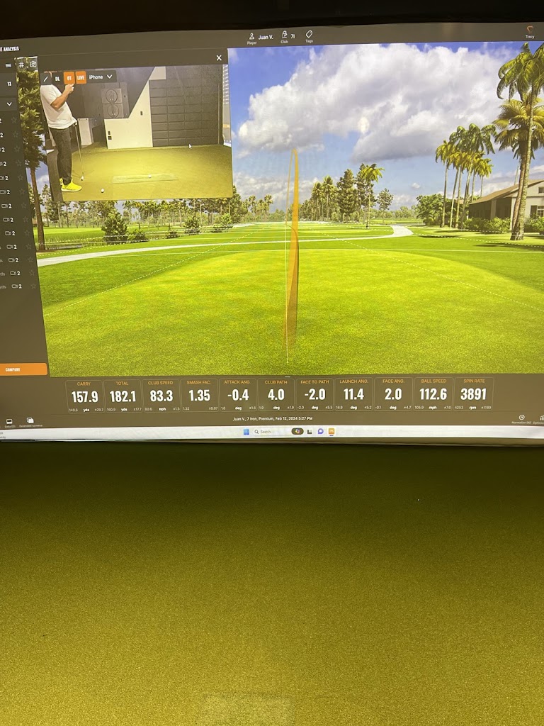 Suite Spot Golf - review