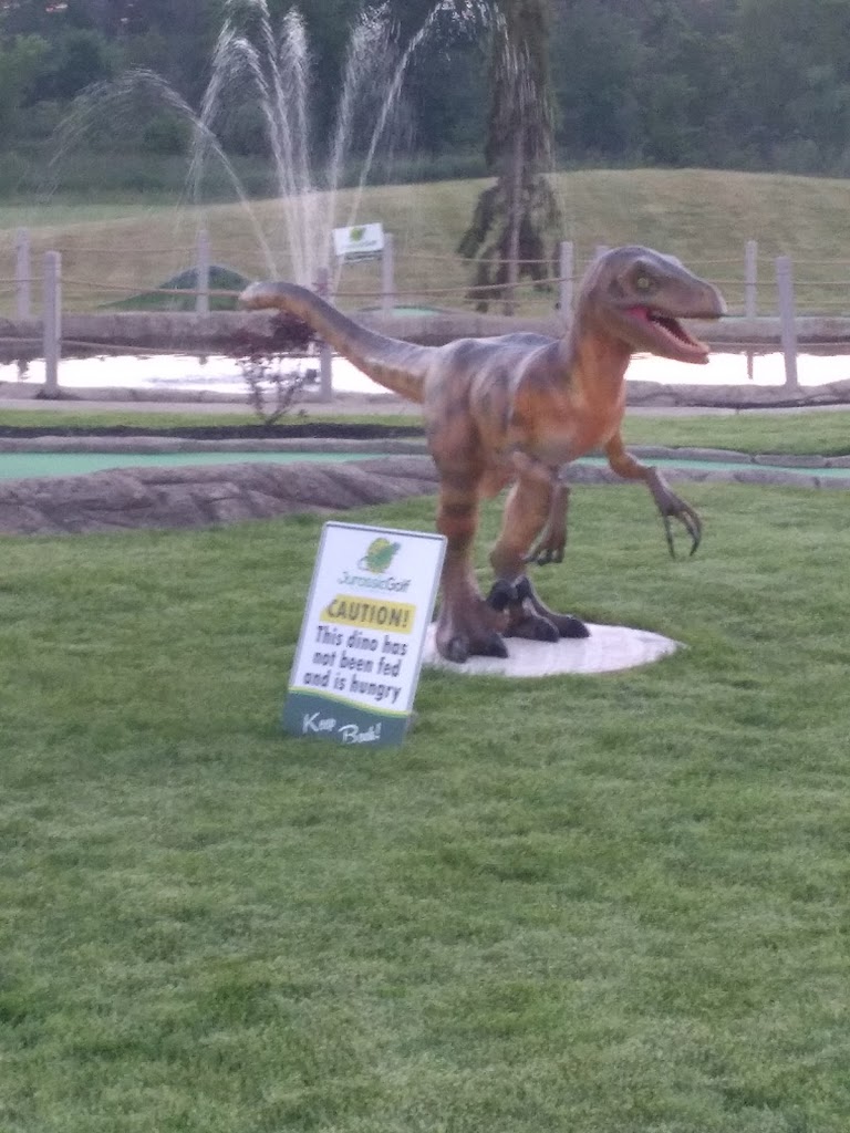 Apex Sports & Entertainment - review