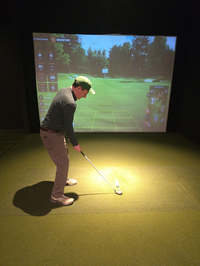 PARennial Golf - Lincoln Park - review