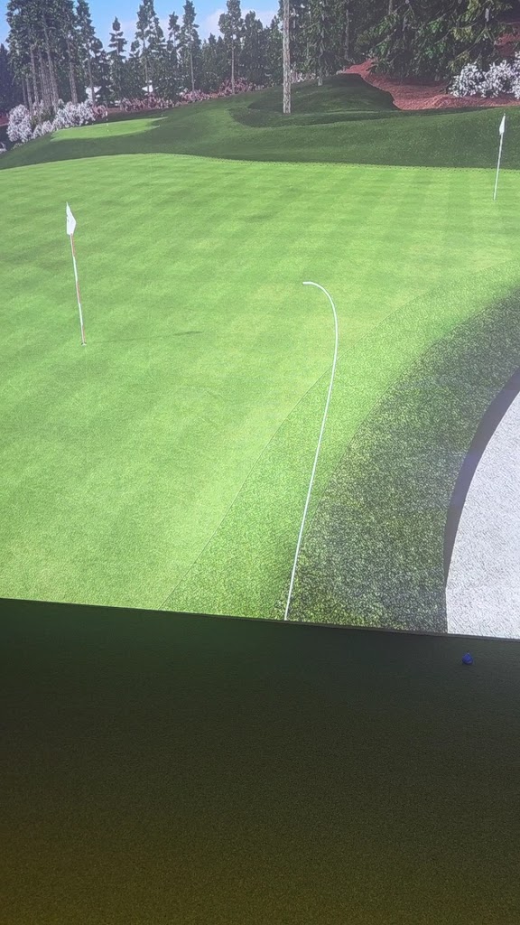 The Back Nine Golf | Austin, TX East - review