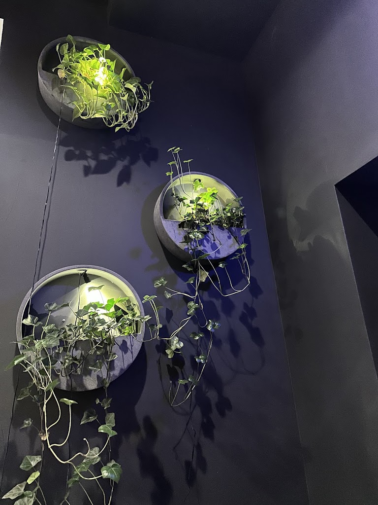 9deg(Degree) Golf - Golf Simulator, Bar & Restaurant - review