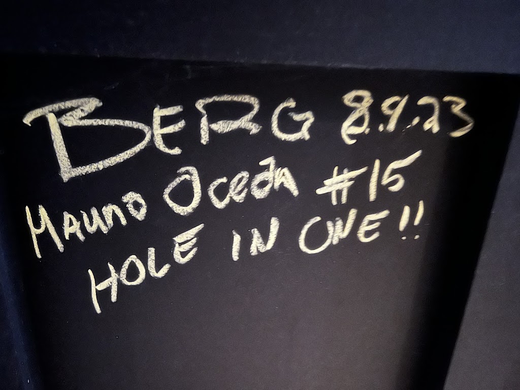 Broheim's Indoor Golf & Pub - review