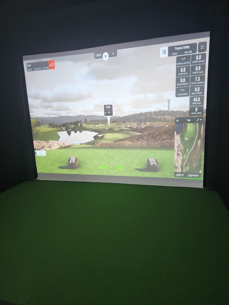 Aces Indoor Golf Club - review