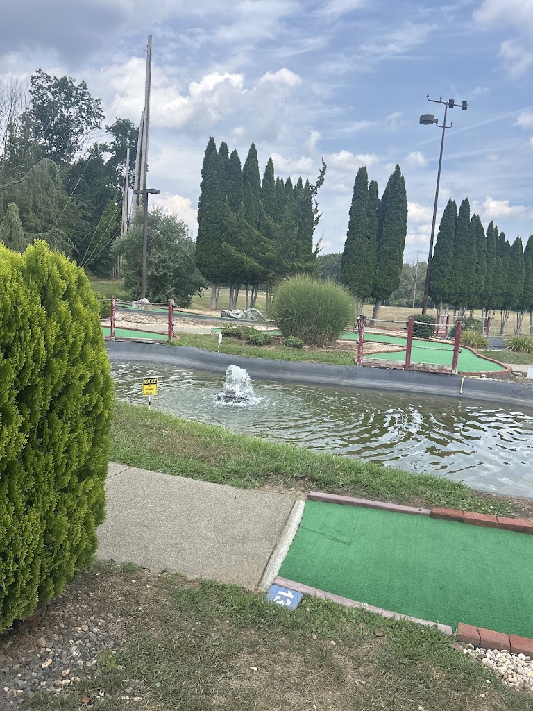 The Golf Zone Club Fitting - review