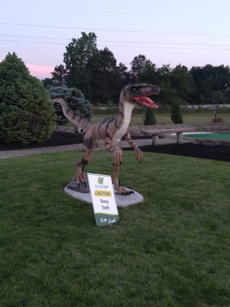 Apex Sports & Entertainment - review