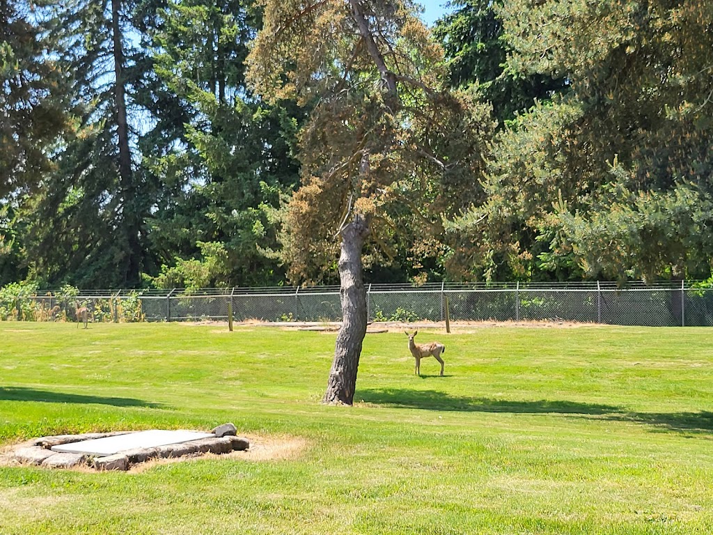 Windsor Island Golf Center - review