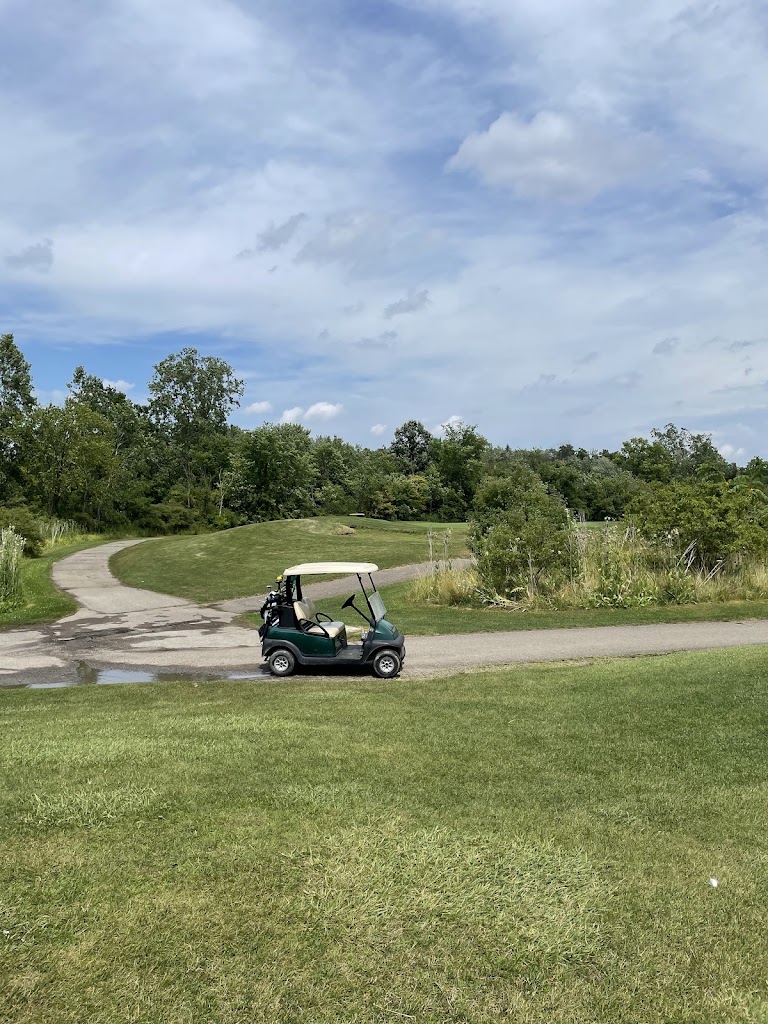 Inkster Valley Golf Course and Indoor Golf Facility - review