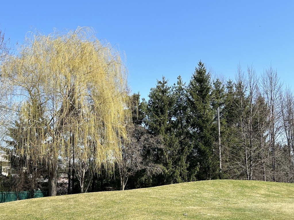 The Links at Crystal Lake - review