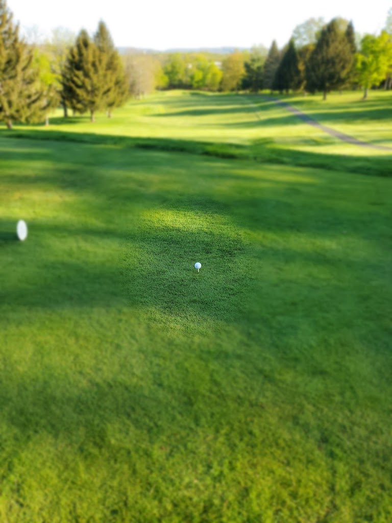 The Pines Country Club - review