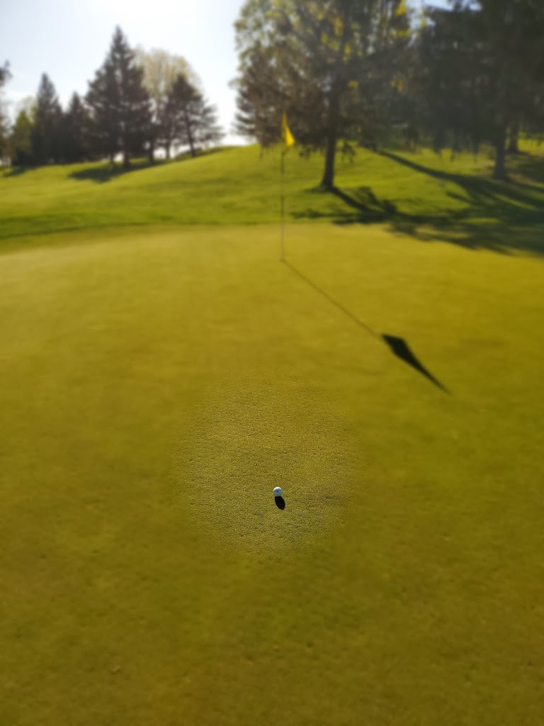 The Pines Country Club - review