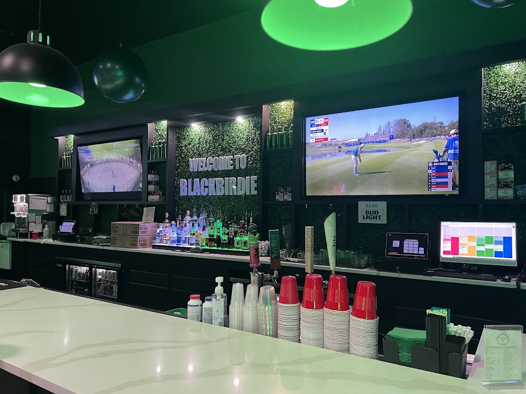 Blackbirdie Indoor Golf Sport Bar & Grill - review