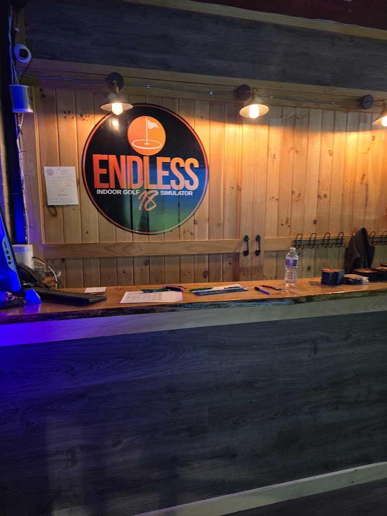 Endless 18 Indoor Golf Simulator - review